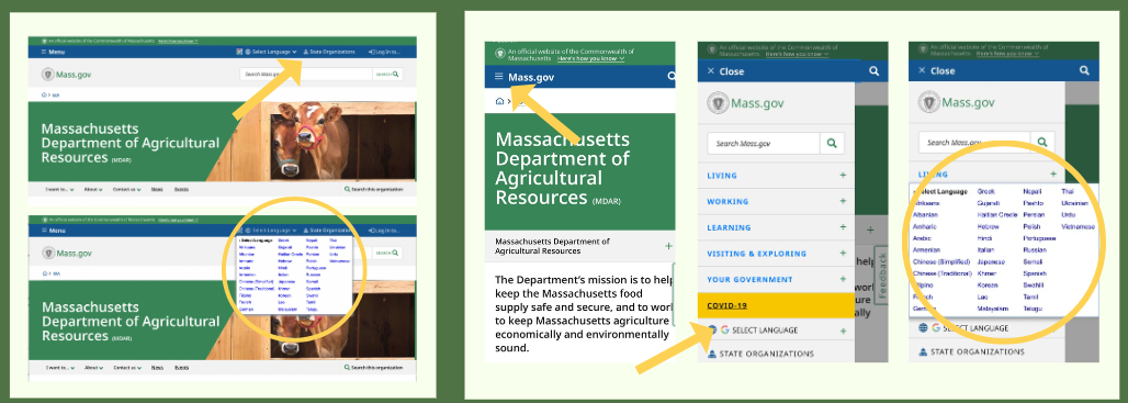 翻译 Mass.Gov 网页 