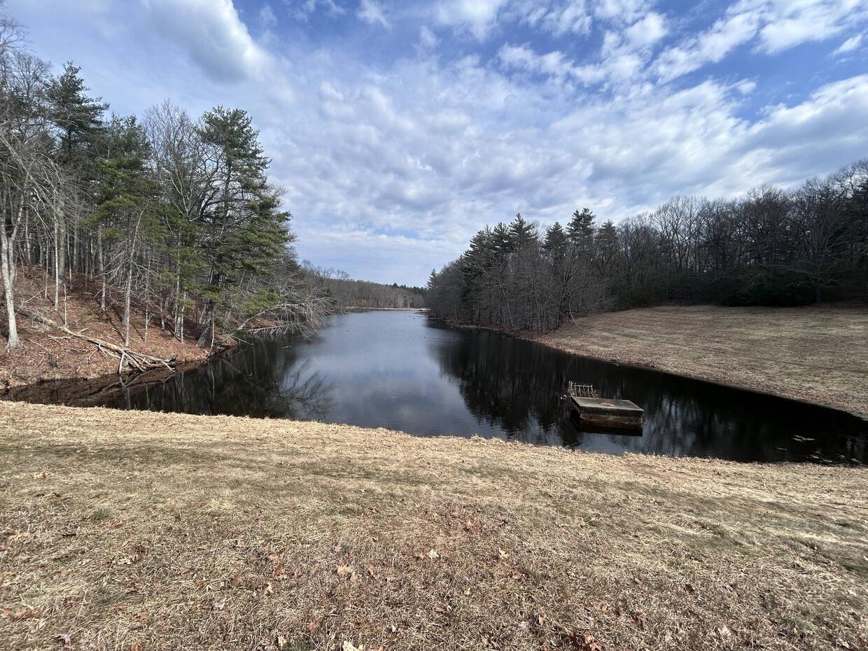 grassy shoreline at dam of Brewer Brook Impoundment
