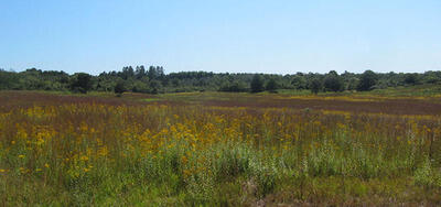 Correllus State Forest