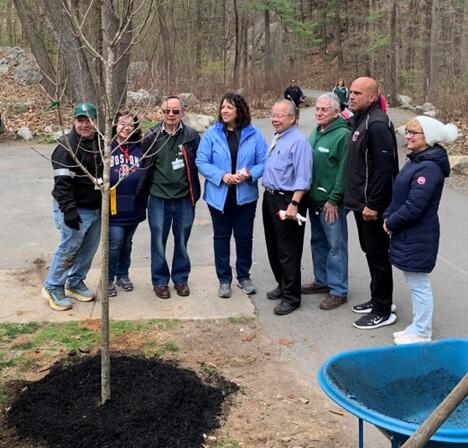 Lt. Governor Driscoll poses with a tree she planted at Breakheart Reservation in 2023.