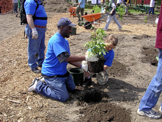 Volunteers planting trees at the Middlesex Fells.