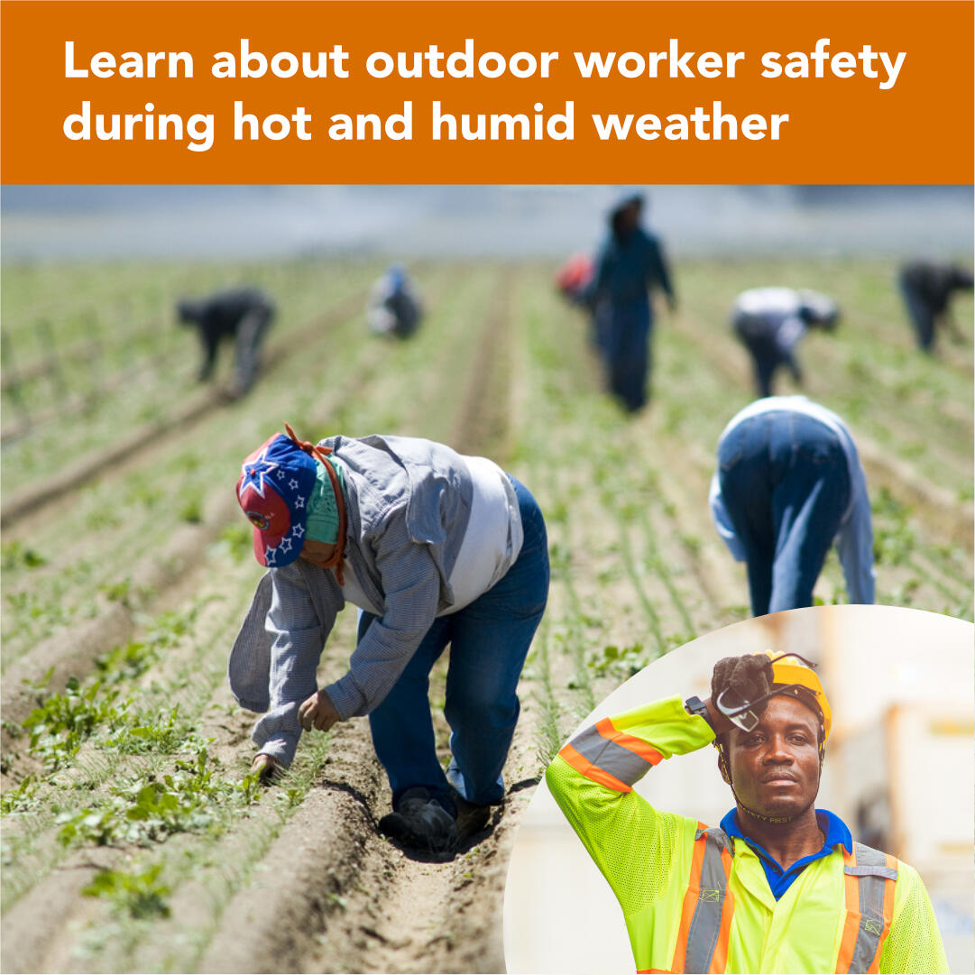 Farm workers in a field with an inset image of an outdoor worker in safety gear, with the text, "Learn about workplace safety during hot and humid weather."