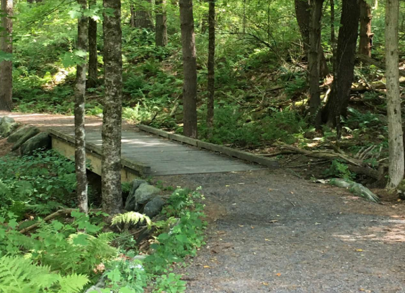 Close-up of compacted crushed stone trail surface and bridge with good transition showing accessible conditions