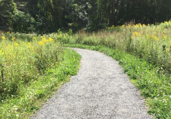 3/8” minus trail surface showing variations in wear.