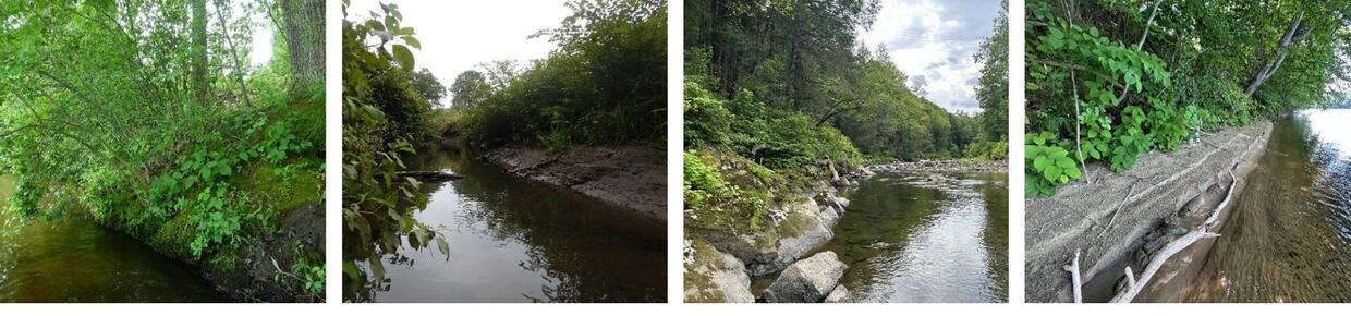 multiple images of different types of streambanks