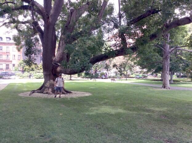 Man standing in front of tree