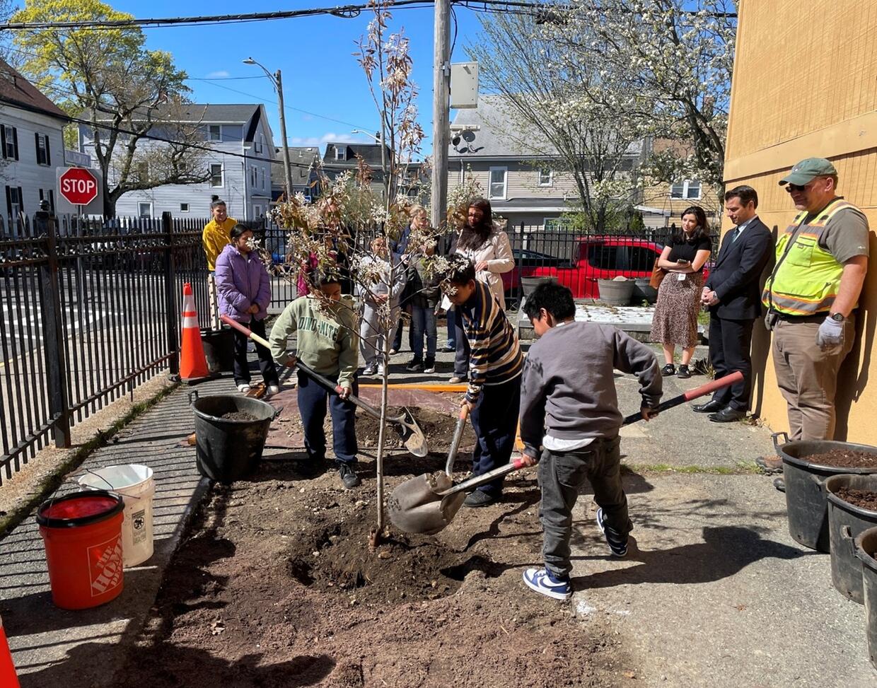 Planting a tree with students.