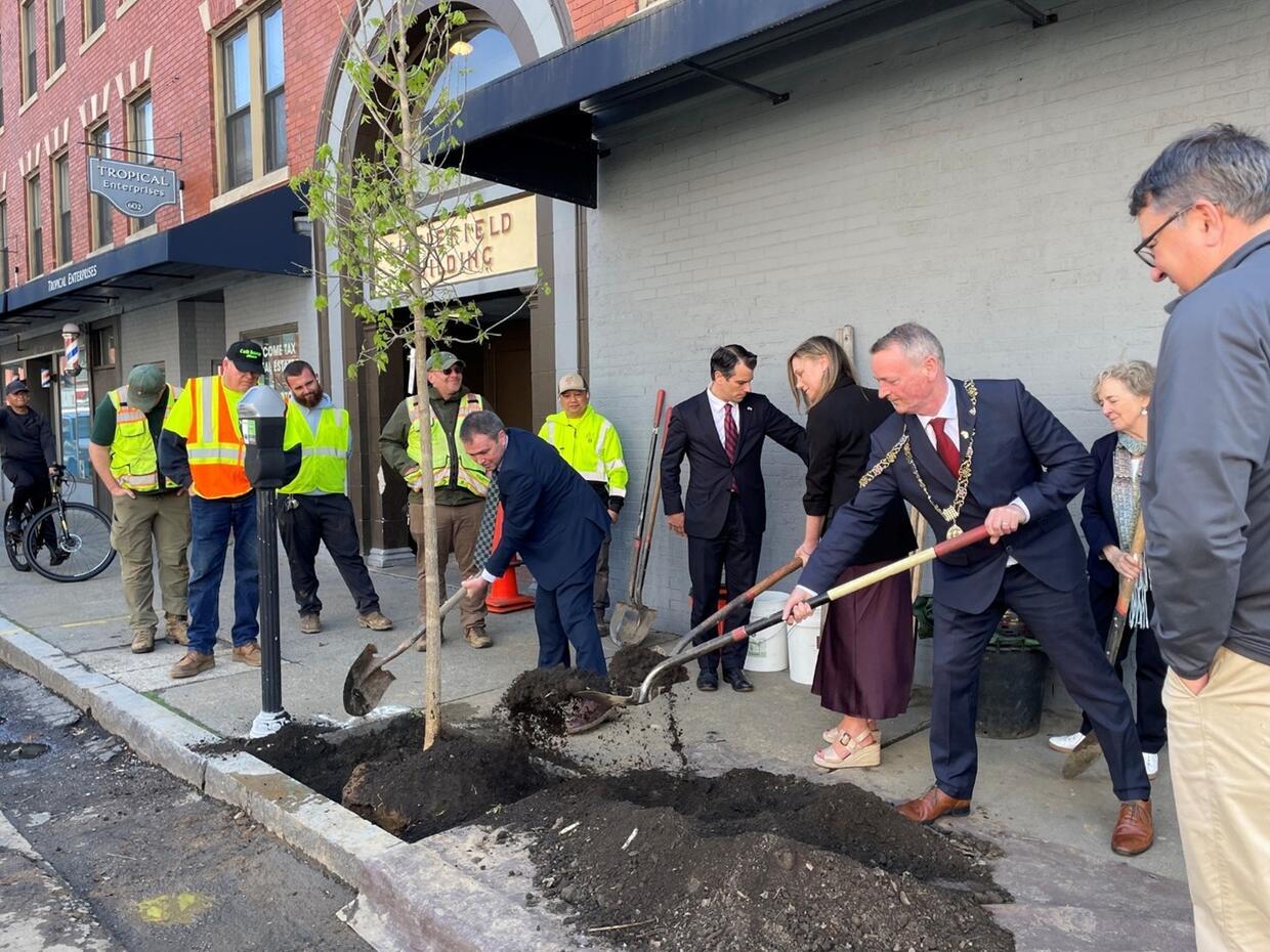 Planting a tree with the Mayor of Lynn.