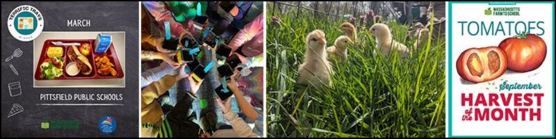 samples of farm to school