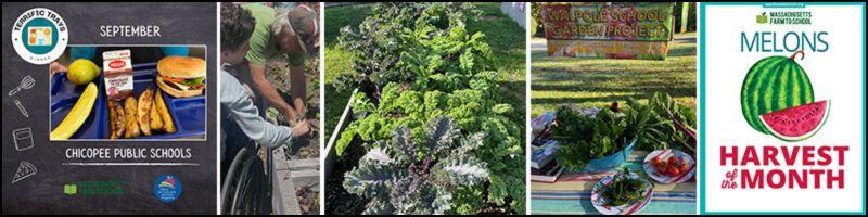 spotlights of farm to school