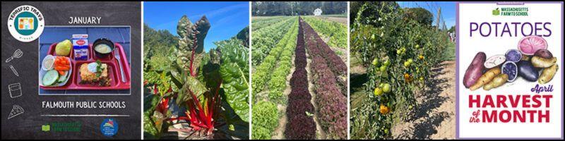 spotlights of farm to school