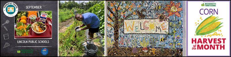 spotlights of farm to school
