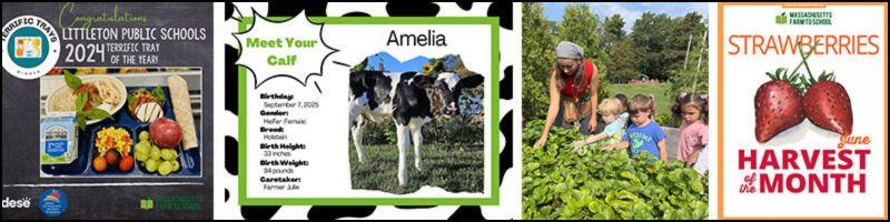 spotlights of farm to school