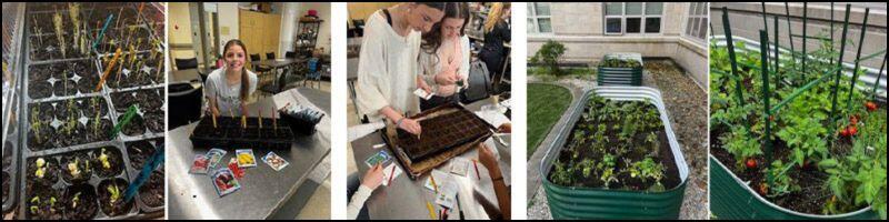 spotlights of farm to school