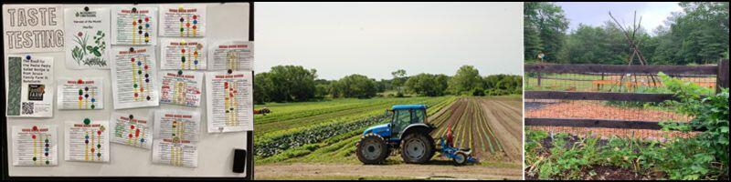 spotlights of farm to school