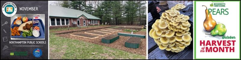 samples of farm to school