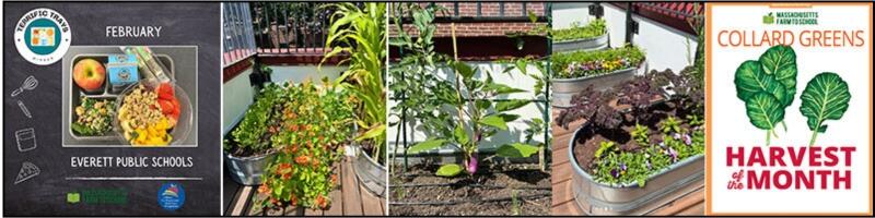 samples of farm to school