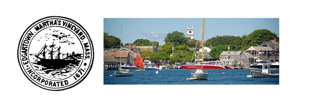Edgartown Town Image