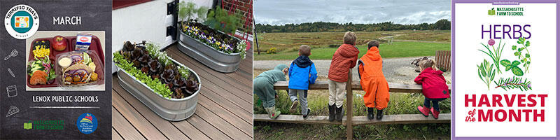 samples of farm to school