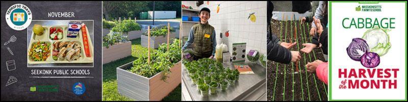 snapshots of farm to school