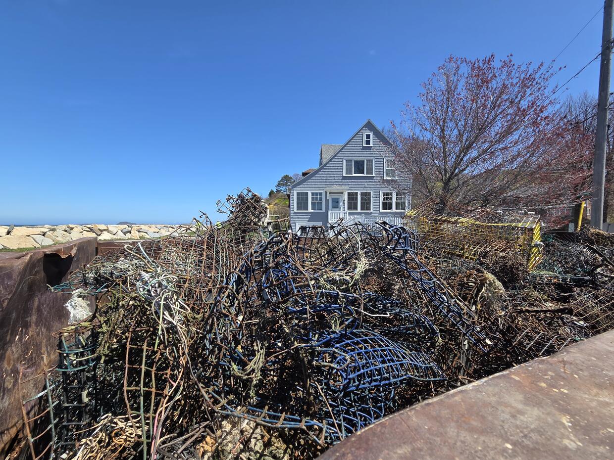 A large pile of metal wire traps in various forms of decay sit in a trash collection container near the beach. 