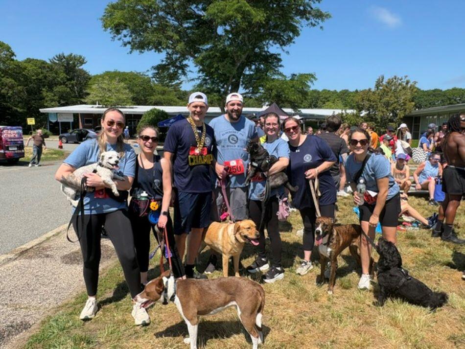 A large group of people and dogs pose together