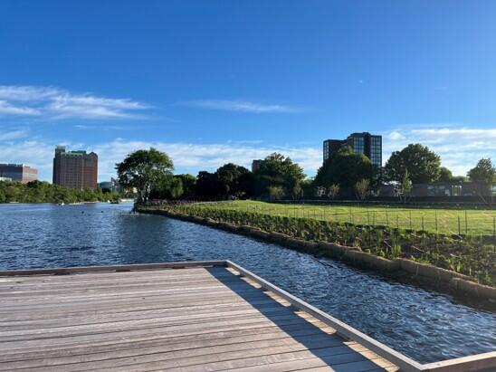 New 54’ x 18.5’ dock looking across the shoreline reestablishment, the lawn and pool in the background.