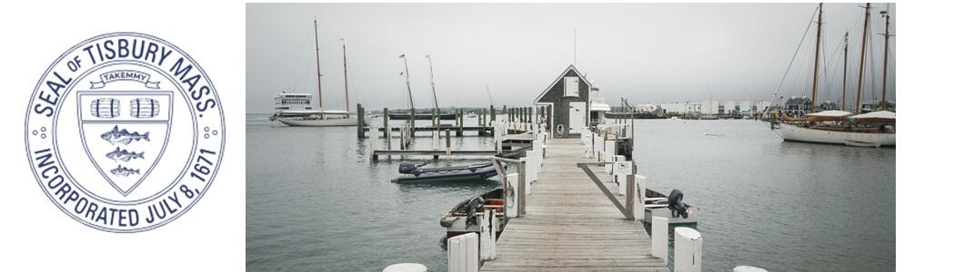 Tisbury Town Image