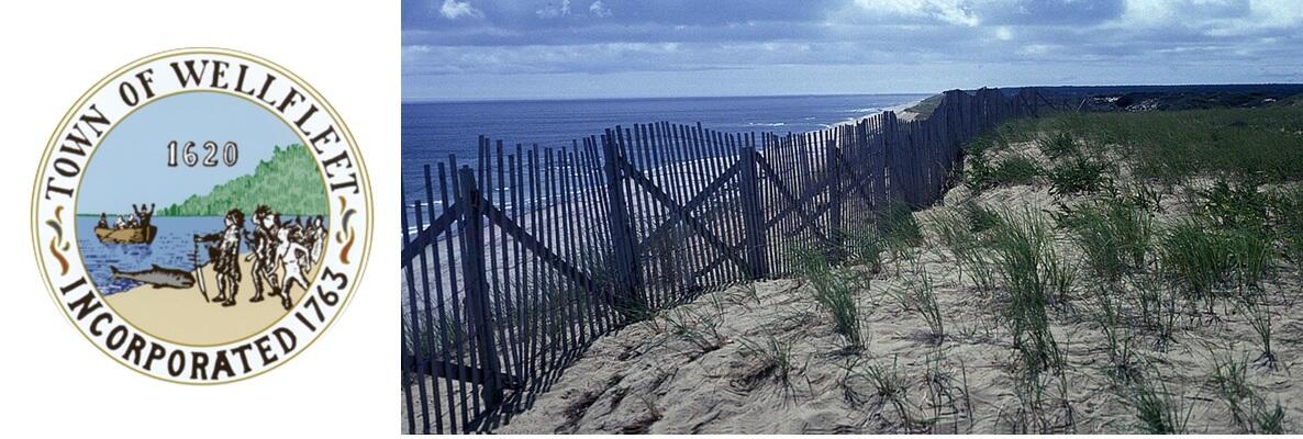 Wellfleet Town Image