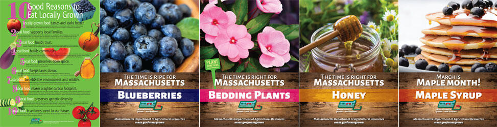 MassGrown posters