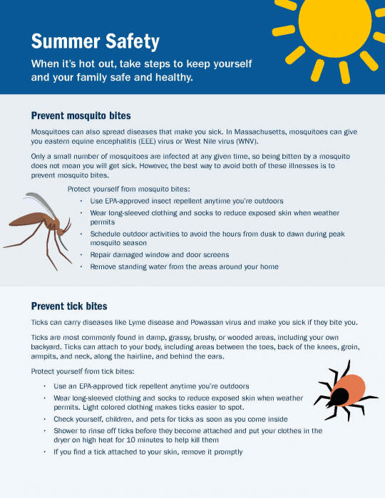 Summer safety factsheet preview