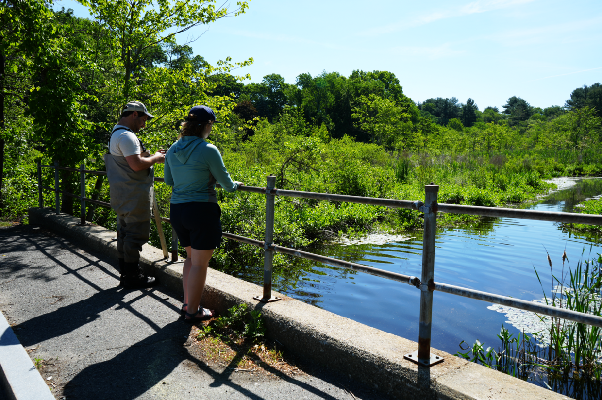 Two people standing on a bridge looking out at a stream.