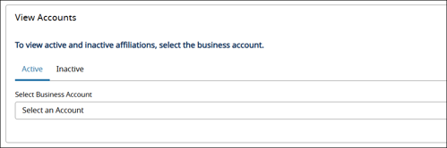 View Accounts Screenshot