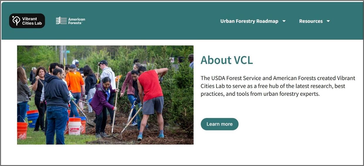 Vibrant Cities Lab website.