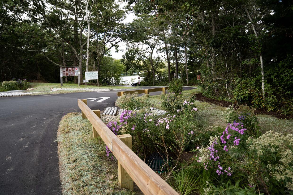 Image of rain garden, a garden of native plants designed to capture runoff.