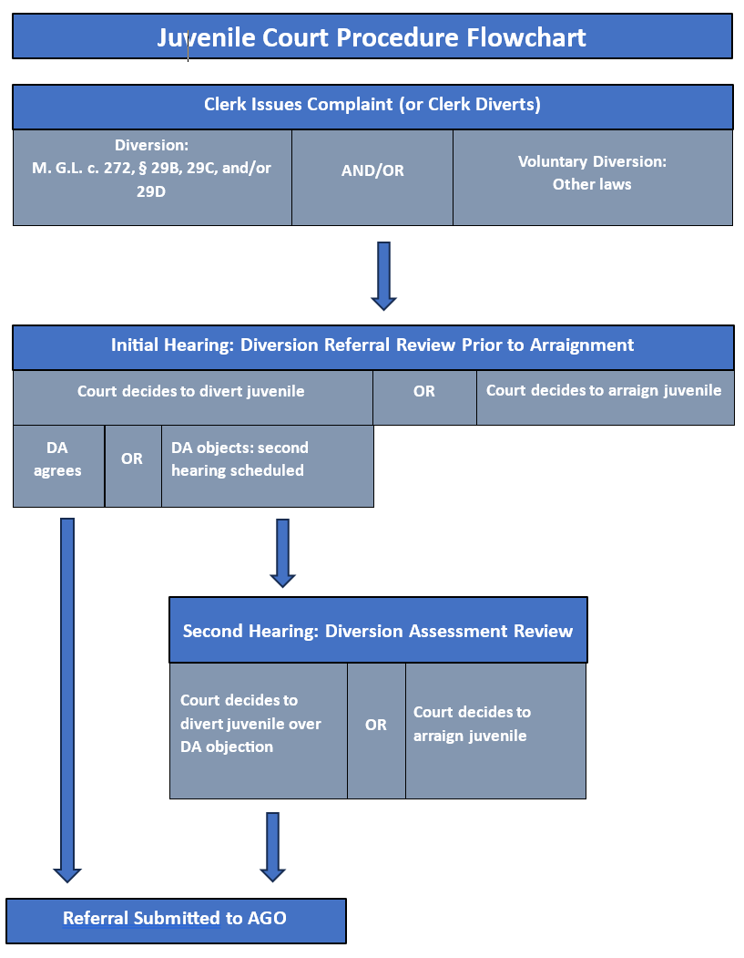 The Juvenile Court Procedure Flow Chart
