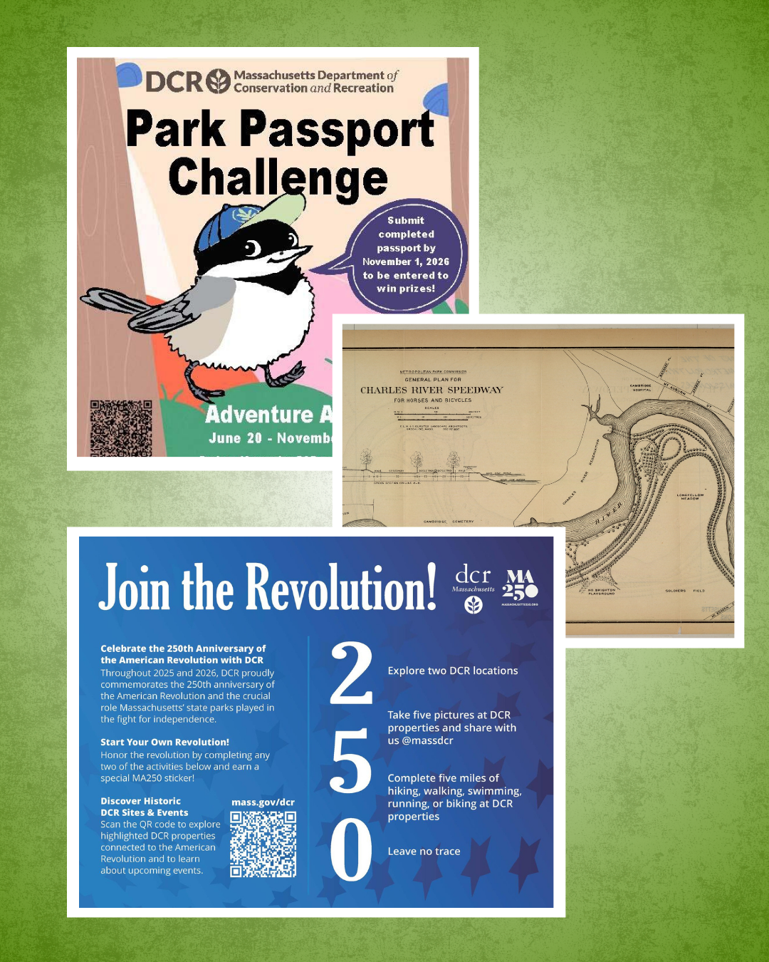 Promotional graphic advertising DCR 2026 programs