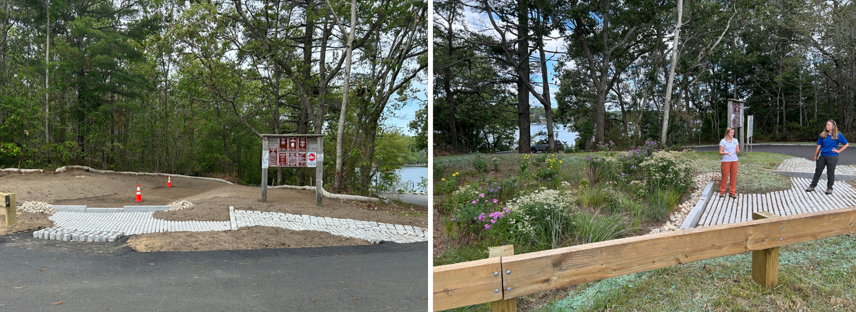 before and after photos of the bioretention area with plants