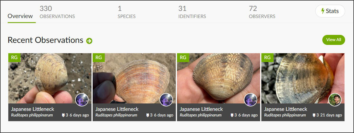 Screenshot of iNaturalist's Manila clam page