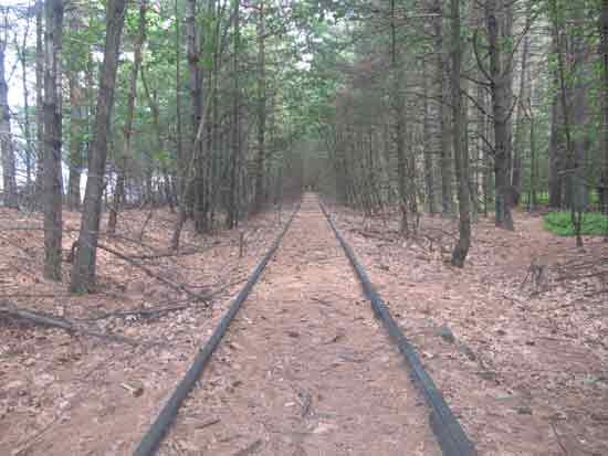 mass central rail trail