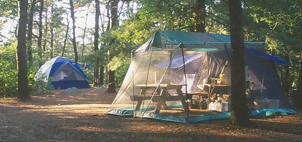 nickerson campsite
