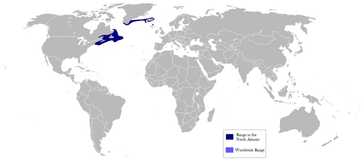Redfish distribution map