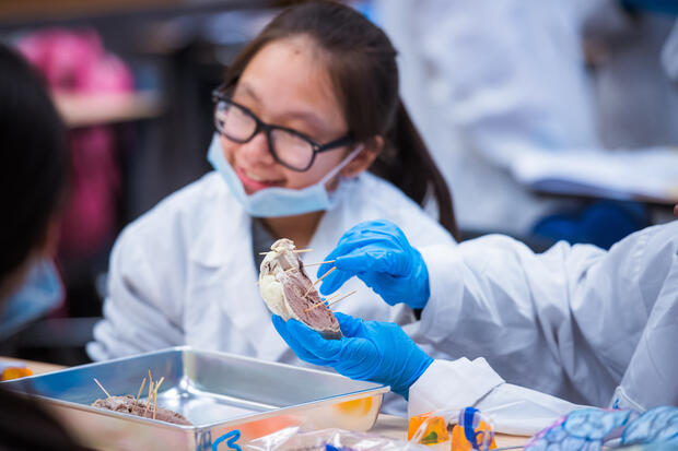 Students working in Biology lab.