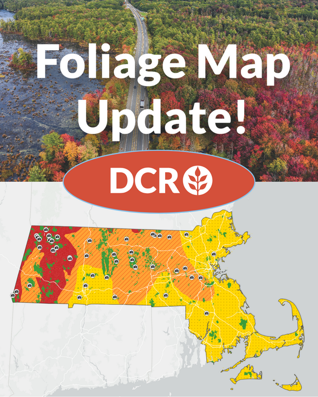 map update