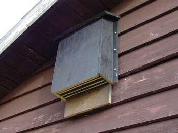 Bat Houses M Gov Bat Houses M Gov