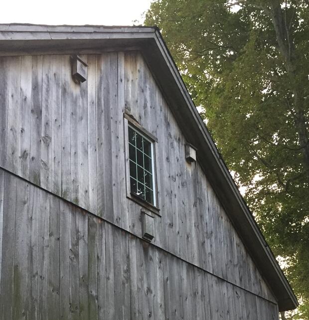 Bat Houses M Gov Three Bat Houses Mounted To The Side Of A Barn Photo By Jennifer Longsdorf Mwildlife