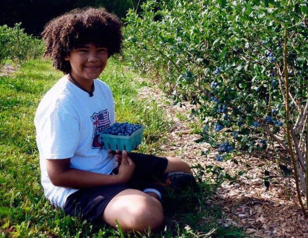 youth picking blueberries