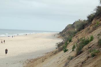 This eroding coastal bank provides sand and sediment to adjacent beaches.