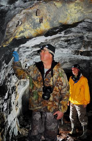 DFW staff examine bat hibernacula.