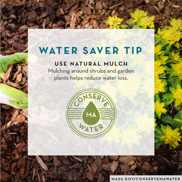 Download Natural Mulch Graphic